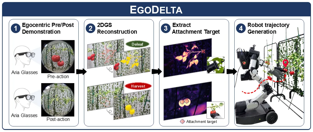 EgoDelta in four panels: an egocentric pre- and post-action demonstration recorded with Aria glasses, pre- and post-action 2DGS reconstructions for deleafing and harvesting, removal-score maps with the extracted attachment target, and a robot executing the generated trajectory on a tomato-vine rig.